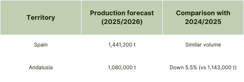 Olive Oil Production Forecast 20252026 – Spain and Andalusia-1.jpg